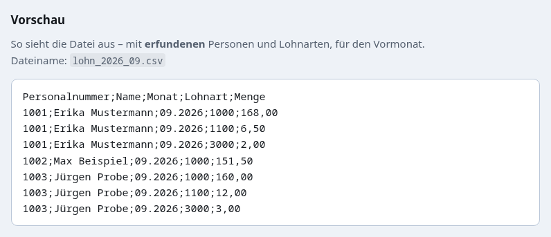 Vorschau einer Lohndatei im eingerichteten Format: Kopfzeile und einige Zeilen mit erfundenen Personen, Lohnarten und Stunden.